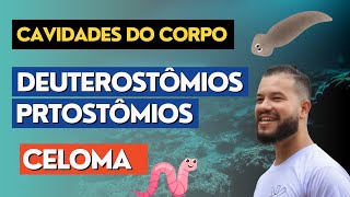 Cavidades do Corpo e a Divisão dos Animais Protostômios vs Deuterostômios [upl. by Soule615]