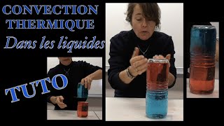 Expérience scientifique amusante de convection thermique dans les liquides chaud ou froid Tuto [upl. by Azyl]