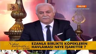 Ezanla Birlikte Köpeklerin Havlaması Neye İşarettir [upl. by Aneba]