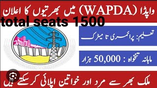 New wapda jobs November 2024 [upl. by Teerell809]