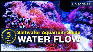 How to choose powerheads and get flow right the first time Saltwater Aquarium Flow [upl. by Remmos573]