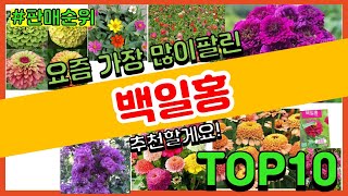 백일홍 추천 판매순위 Top10  가격 평점 후기 비교 [upl. by Ahcsat]