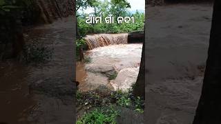 Beautiful waterfallNew vlog videoodisha waterfallodisha nadi [upl. by Tandi]