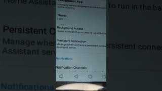 NSPanel Pro says notifications from Home Assistant using Pico TTS [upl. by Portie]