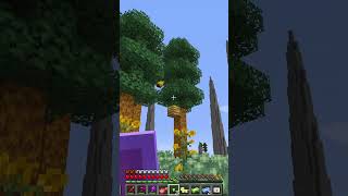 Ultimate Pickaxe modded minecraft crazycraft [upl. by Amapuna]