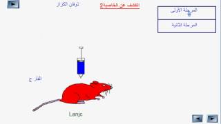 المناعة المناعة النوعية [upl. by Yahsel]