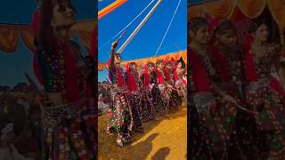 Adivasi dance video।। timli dance 2024shotrs trending viralvideo tribal dance songs shortfeed [upl. by Veno]