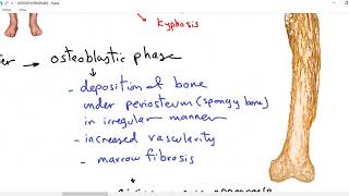 Systemic pathology 35  bone 5  osteodystrophies  DRSAMEH GHAZY [upl. by Aramoiz]