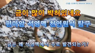 금이 많이 박혀있네요 편마암 석영맥 천연원석 탐구 금은 왜 주로 석영맥에서 발견되는가 [upl. by Critta96]