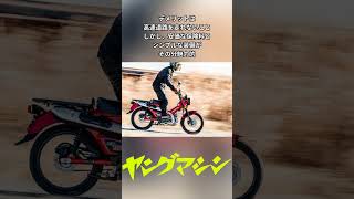 【2024年10月版】125ccおすすめバイク！ 人気の原付二種、国産MTモーターサイクルとAT限定免許OKのカブ系を網羅！ [upl. by Eymaj]