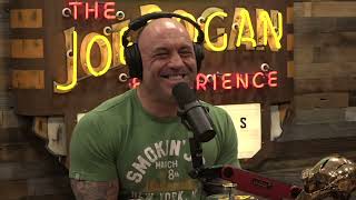 Joe Rogan Experience 1945  Eric Weinstein [upl. by Leirej]