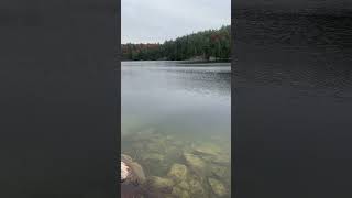 Beautiful Calabogie canada nature new lake foryou chill fall fishing overcast beautiful [upl. by Anette495]