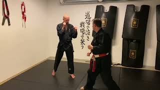 Tobi Ushiro Mawashi Geri [upl. by Soulier]