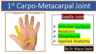 First carpometacarpal joint [upl. by Amihsat]