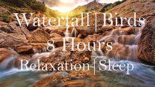 Waterfall with Birds Chirping  Sleep  Studying  Relaxation [upl. by Aennil925]