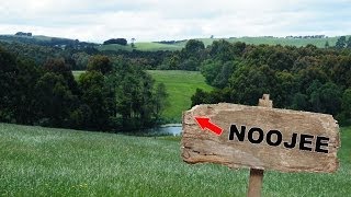 Yowie  Bigfoot Sighting Audio Report 31 near Noojee Victoria [upl. by Rasec566]