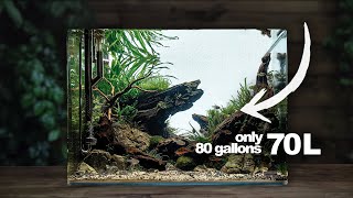 THE RIVER  a Dennerle 70L Scapers Tank Beginner Guide  Aquascape Tutorial [upl. by Vernier]