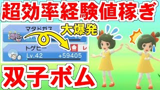 【攻略】ダイパリメイクの『レベル上げ』は『双子ボム』が最強過ぎた！ 一戦闘で経験値を『59405』も稼げるとか凄すぎないか……？ でもこれ、やってることが殆どロケット団じゃ……？？【ポケモンBDSP】 [upl. by Gnouh295]