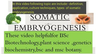 somatic Embryogenesis  somatic Embryogenesis in Hindi  somatic Embryogenesis in plant culture [upl. by Michi]