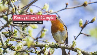 Förslag till nya 312regler [upl. by Htieh606]