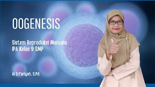 OOGENESIS  Proses Pembentukan Sel Telur Ovum [upl. by Ahsekram]