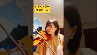 【ヴァイオリン】クライスラー 愛の悲しみ Kreisler liebesleid 🥲ヴァイオリン 練習 violin stradivarius practice shorts [upl. by Nylyram433]