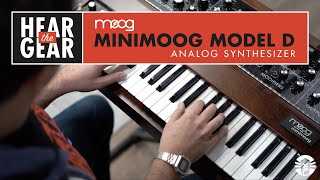 Hear The Gear Moog Minimoog Model D Analog Synthesizer 2022 Reissue [upl. by Daffie]