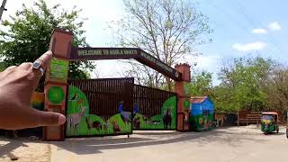 Asola bhatti wildlife sanctuary park delhi  butterfly park  arawali park delhi [upl. by Elery]