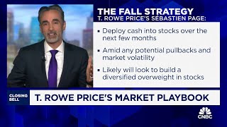 T Rowe Prices Sebastien Page bullish case for international small caps [upl. by Didi]