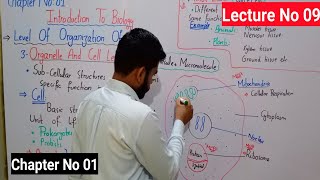 Organelle And Cell Level In Biology 9th  Level Of Organization In Urdu  Lec No 08  Ch No 01 [upl. by Leziar159]