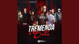 Tremenda Sata Pt 3 Remix feat Arcangel J Alvarez Franco El Gorila Alexis amp amp Fido [upl. by Rothmuller750]