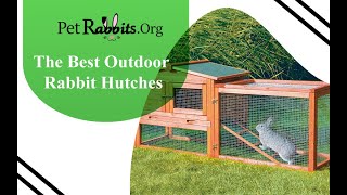 Best Outdoor Rabbit Hutches  Petrabbitsorg [upl. by Tengdin]