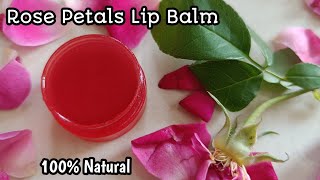 Rose Petal Lip Balm  Get Soft amp Pink Lips Naturally at home youtubevideo viral viralvideo video [upl. by Nowtna128]