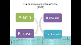 MEETING 2 PART 2 PATOFISIOLOGI SISTEM KARDIOVASKULER PART 2 MARKER BIOKIMIA 1 [upl. by Notnirb]