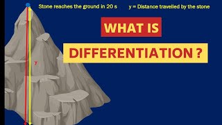 What is Differentiation   Concept of Differentiation in Mathematics [upl. by Niuqaoj]