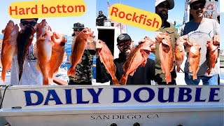 12 Day Daily Double 600 Hard Bottom Point Loma Sportfishing San Diego Ca Rockfish Sanddabs Whales [upl. by Carola887]