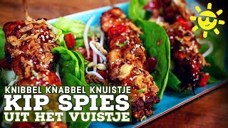 Hoe gril je KIPSPIES op de BBQ Simpele recepten zijn vaak het lekkerst [upl. by Mccord]