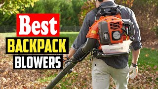 ✅Top 10 Best Backpack Blowers In 2023 [upl. by Leugim878]