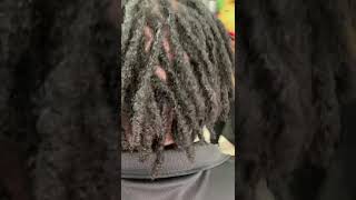 Starter locs after two months Starterlocs locs haircare locsstyles dreads [upl. by Ander]