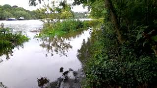 Richmond Thames path flooded Part 3 [upl. by Robbin]