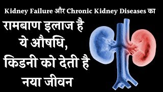 Kidney Failure और Chronic Kidney Diseases का रामबाण इलाज है ये औषधि किडनी को देती है नया जीवन [upl. by Euqinu954]