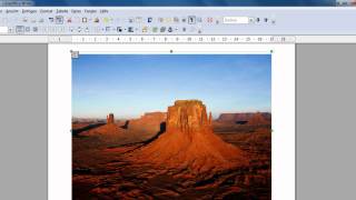LibreOffice und OpenOffice Writer  Bildbeschriftungen erstellen und Abbildungsverzeichnis einfügen [upl. by Loralie]