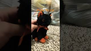 Fraidy The Cat New Plushie Character [upl. by Aleciram723]