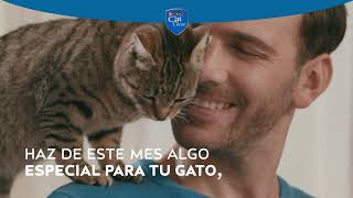 ¡Celebra el Mes del Gato con Purina® Cat Chow® Esterilizados [upl. by Jacobs]