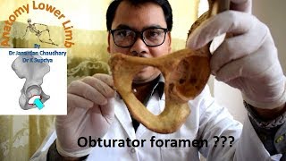 Obturator foramen [upl. by Laval40]