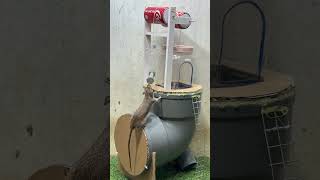 Rat trap creativeGreat mouse trap idea [upl. by Nnylsor]