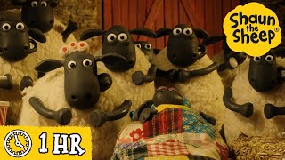 Shaun the Sheep 🐑 Timmy Puts On A Show amp MORE 🎭 Full Episodes Compilation [upl. by Terraj954]