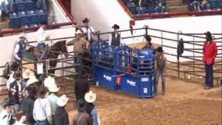 Trevor Brazile and Texaco [upl. by Polinski342]