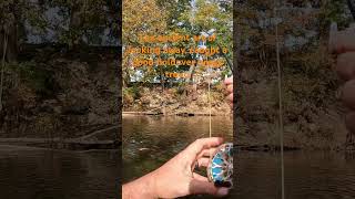 flyfishing troutbum happyplace nature river fishingmethods brooktrout [upl. by Lledra847]