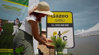 Gazeo și Clementine soiuri noi de grâu și orzoaică de la ITC Seeds [upl. by Eliot]